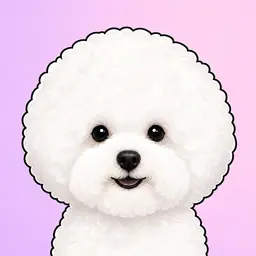一只可爱的白色比熊
